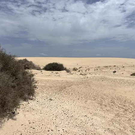 Bf - Paraiso De Tranquilidad *