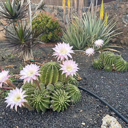 Bf - Paraiso De Tranquilidad Villaverde (Fuerteventura)