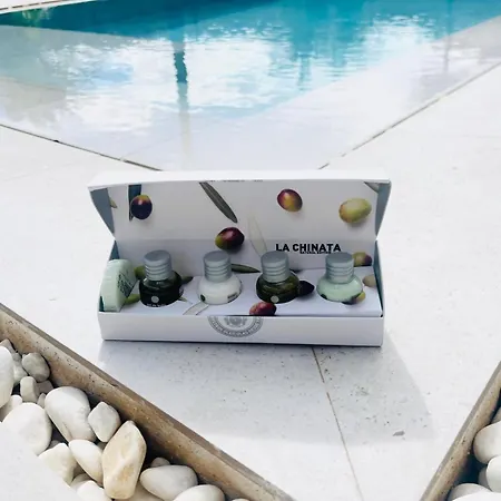 Bf - Paraiso De Tranquilidad 빌라 *