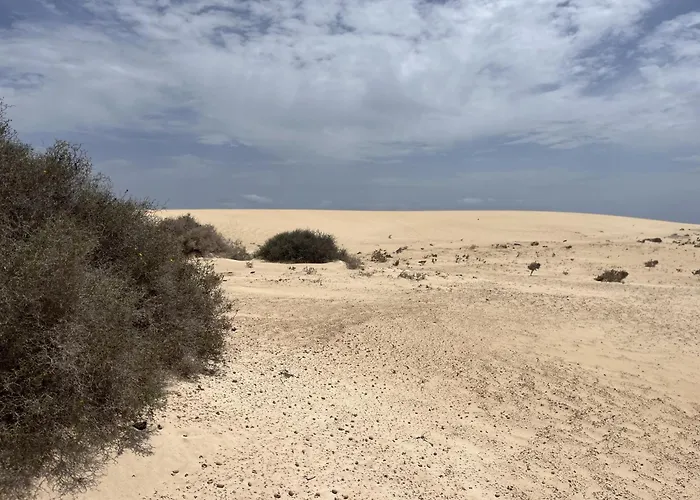 Bf - Paraiso De Tranquilidad *